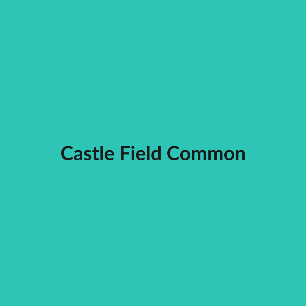 Castle Field Common art print