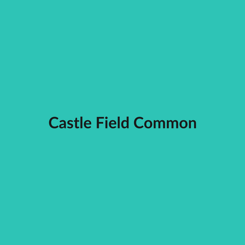 Castle Field Common art print